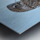 JBS 5394 Metal print