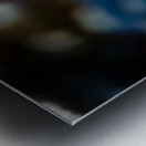 JBS 8295 Metal print