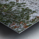 JBS 7888  Metal print