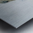 JBS 9346 2 Metal print