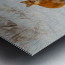 JBS 6354 Metal print