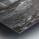 JBS 8855 Metal print