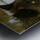 JBS 9070 Metal print