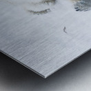 JBS 8390 Metal print