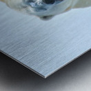 JBS 9357 Metal print