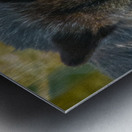 JBS 9093 Metal print