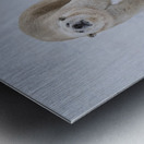 JBS 8219 Metal print