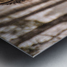 JBS 4894 Metal print