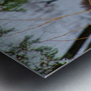 JBS 4767 Metal print