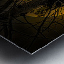 JBS 52971 Metal print