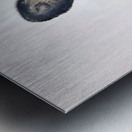 JBS 5691  Metal print