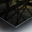 JBS 5295 Metal print