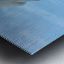 JBS 8465 Metal print