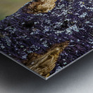 JBS 9742 Metal print