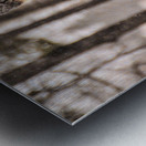 JBS 4896  Metal print