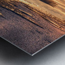 JBS 5877  Metal print