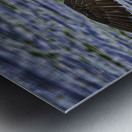 JBS 23852 Metal print