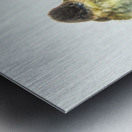 JBS 9269 Metal print