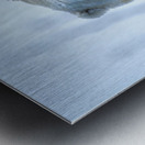 JBS 9392 Metal print