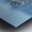 JBS 5393 Metal print