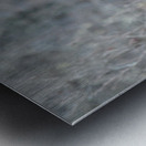 JBS 6219 Metal print