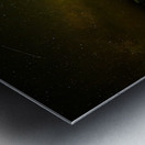 ZJS 9890 Metal print