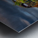 ZJS 9866 Metal print