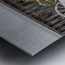 ZJS 9138 Metal print