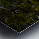 ZJS 9141 Edit Metal print