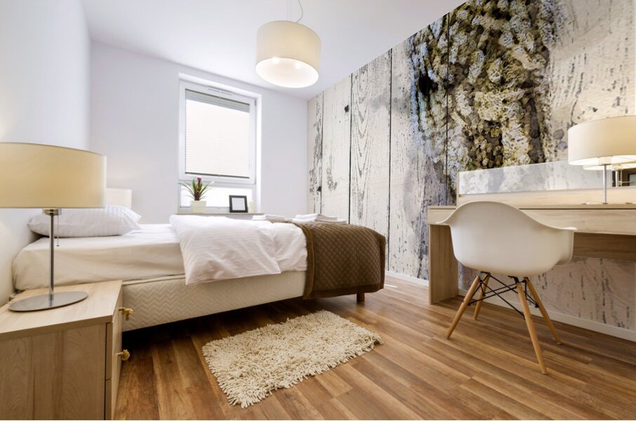 JBS 5420WC 2 Mural print