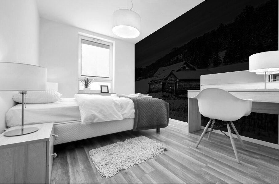 JBS 0143  Mural print