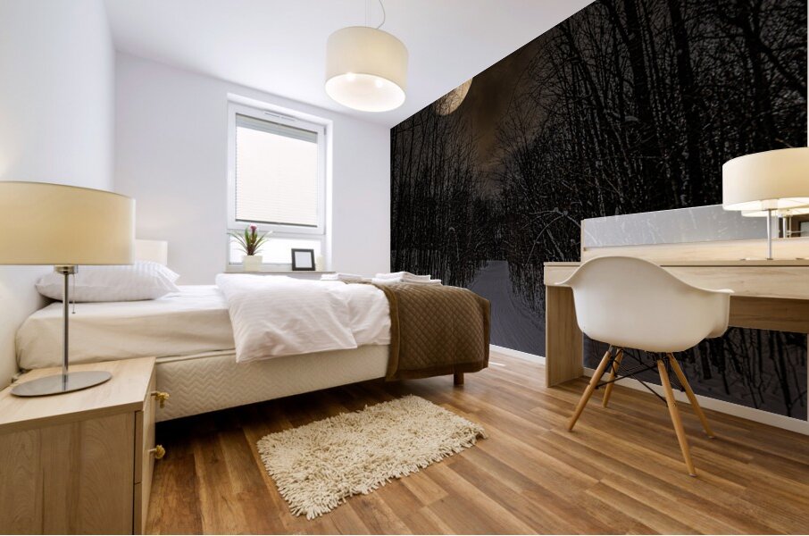 DSC 4177  Mural print