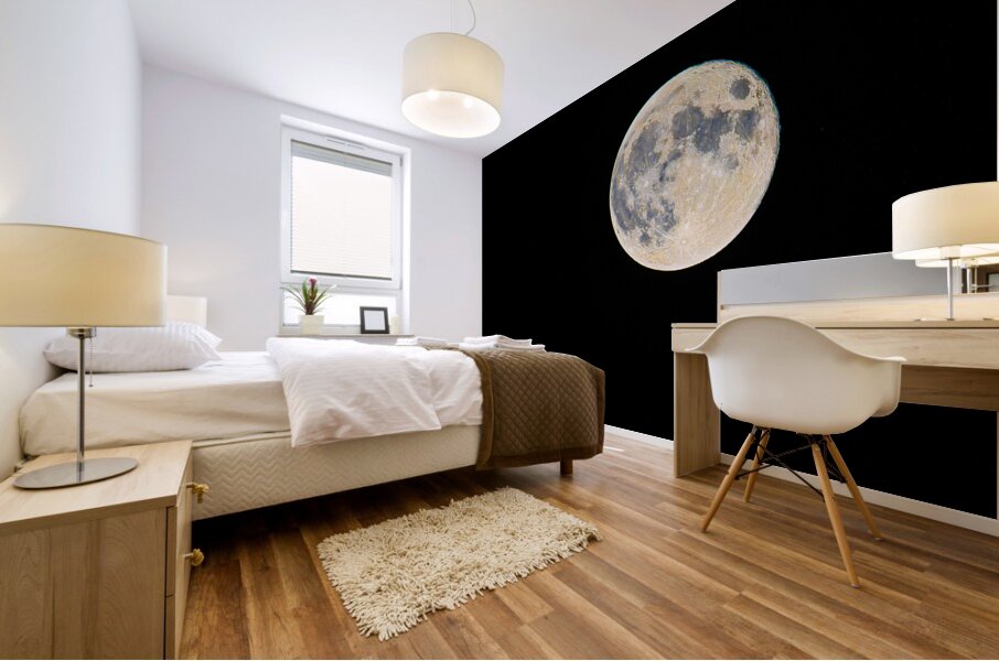 DSC 5705  Mural print