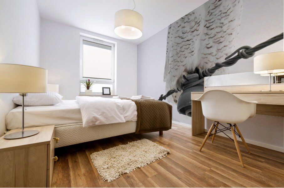 DSC 1902 Mural print