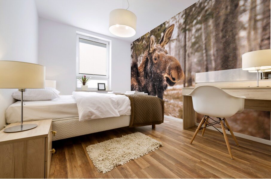 JBS 4902  Mural print