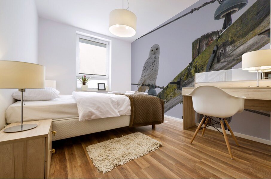 DSC 1879 Mural print