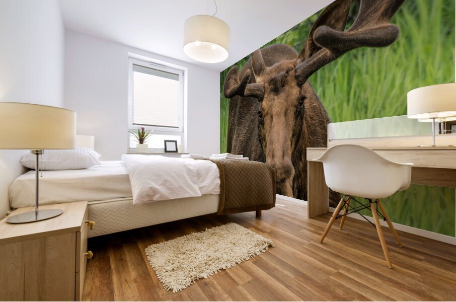 JBS 2500 Mural print