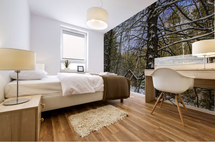 JBS 5217 Mural print