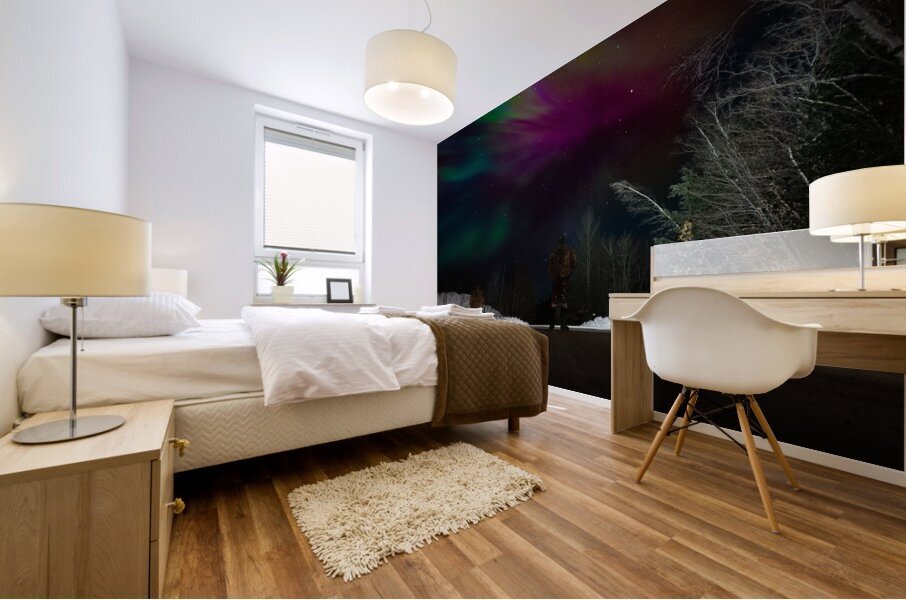 JBS 3609  Mural print