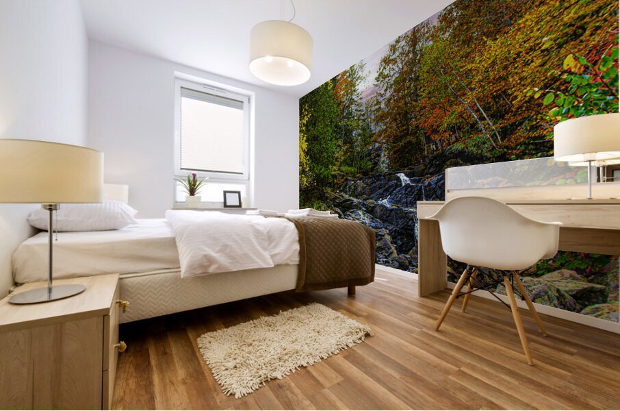 ZJS 5785  Mural print