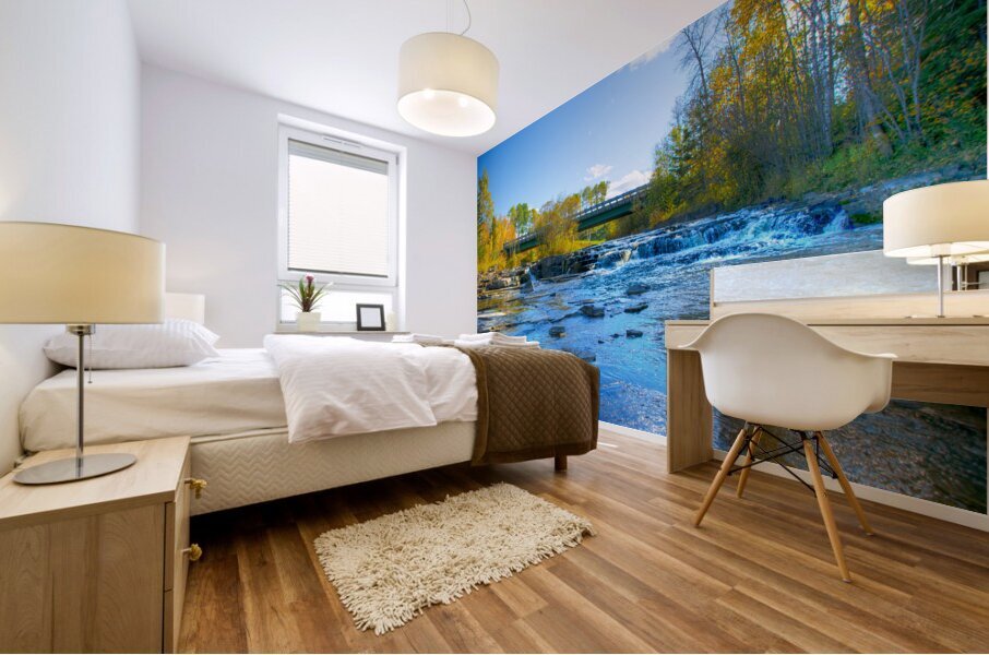 JBS 7000  Mural print