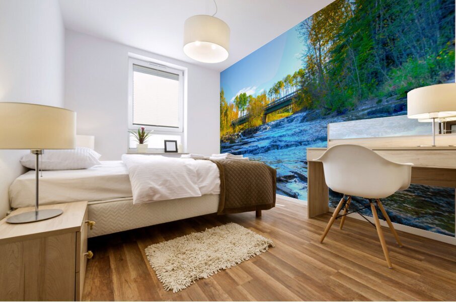 JBS 6991  Mural print