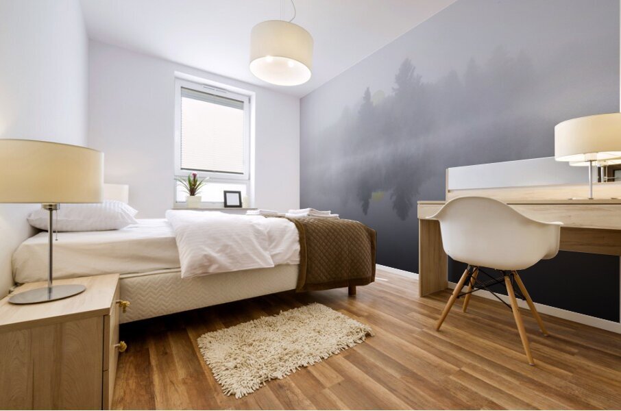 DSC 5615  Mural print