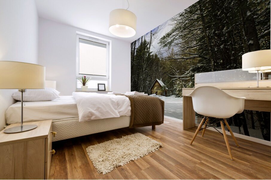 JBS 5227 16x20 Mural print