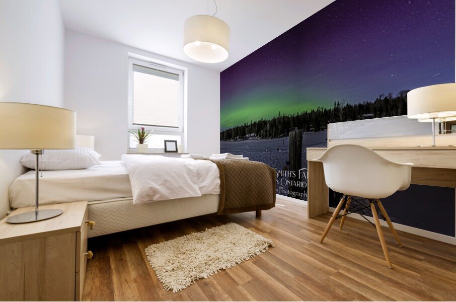 DSC 4311 Pano  Mural print