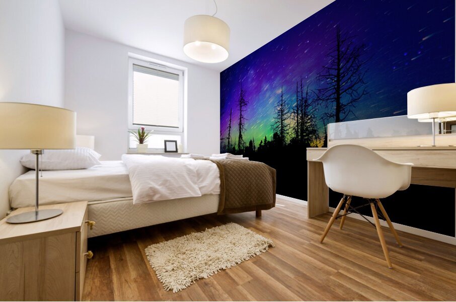 Swamp Northern Lights Mural print