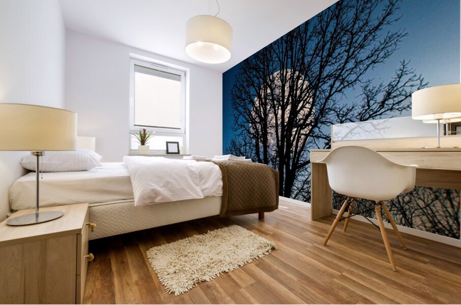 JBS 0046  Mural print