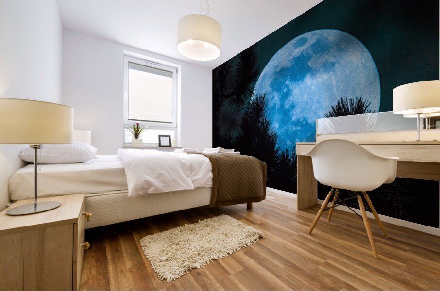 JBS 0093  Mural print