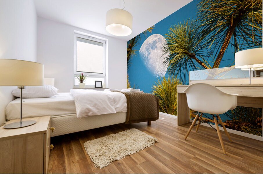 JBS 9958  Mural print