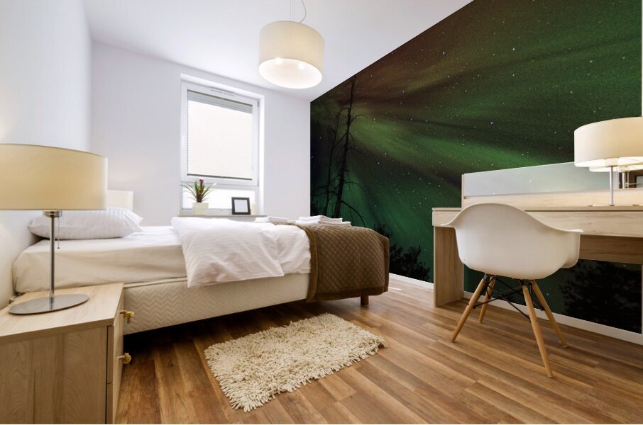 JBS 5620  Mural print